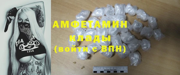spice Богородск