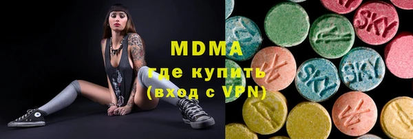 spice Богородск