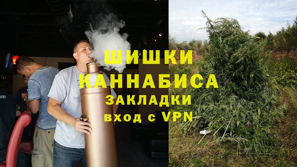spice Богородск