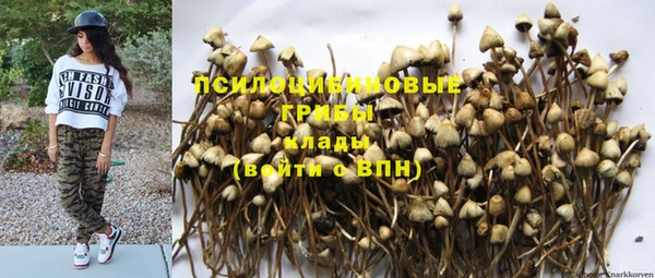 MDMA Богданович