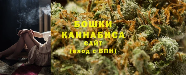 spice Богородск