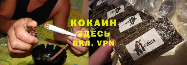 spice Богородск