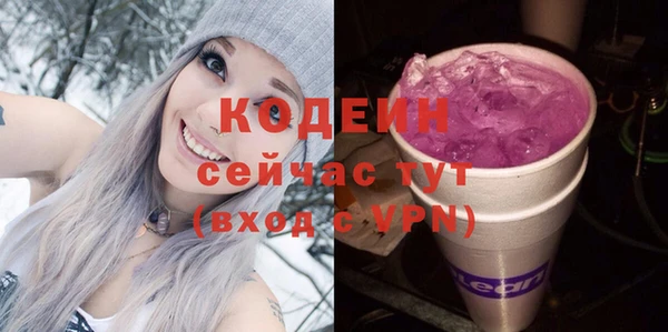 spice Богородск