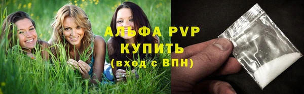 spice Богородск