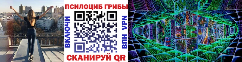 Галлюциногенные грибы Magic Shrooms  Красноармейск 